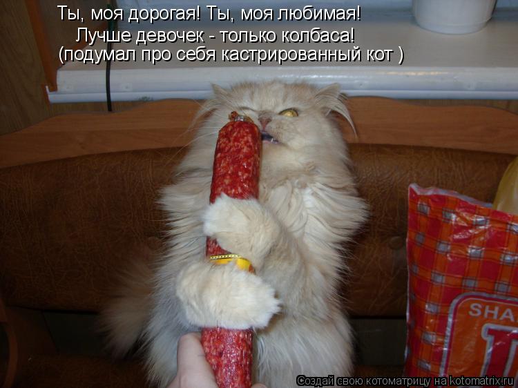 Ты, моя дорогая! Ты, моя любимая! Лучше девочек - только колбаса! (подумал про себя кастрированный к... Котоматрица: Ты, моя дорогая! Ты, моя любимая! Лучше девочек - только колбаса! (подумал про себя кастрированный кот )