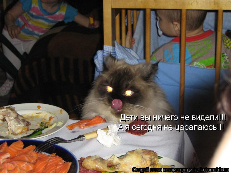 Котоматрица: Дети вы ничего не видели!!! А я сегодня не царапаюсь!!!
