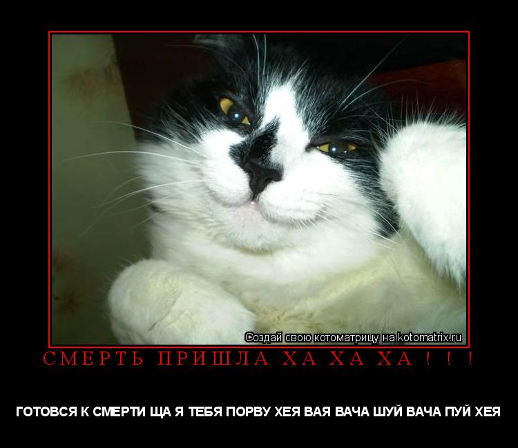 СМЕРТЬ ПРИШЛА ХА ХА ХА ! ! ! ГОТОВСЯ К СМЕРТИ ЩА Я ТЕБЯ ПОРВУ ХЕЯ ВАЯ ВАЧА ШУЙ ВАЧА ПУЙ ХЕЯ... Котоматрица: СМЕРТЬ ПРИШЛА ХА ХА ХА ! ! ! ГОТОВСЯ К СМЕРТИ ЩА Я ТЕБЯ ПОРВУ ХЕЯ ВАЯ ВАЧА ШУЙ ВАЧА ПУЙ ХЕЯ