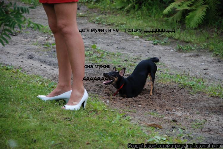 Котоматрица: ААААААА она мужик да я мужик и чё    только цццццццццц