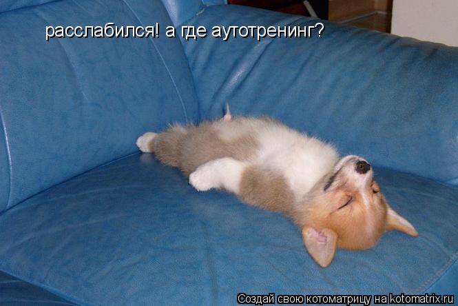 расслабился! а где аутотренинг?... Котоматрица: расслабился! а где аутотренинг?