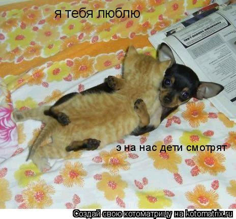 я тебя люблю э на нас дети смотрят... Котоматрица: я тебя люблю э на нас дети смотрят