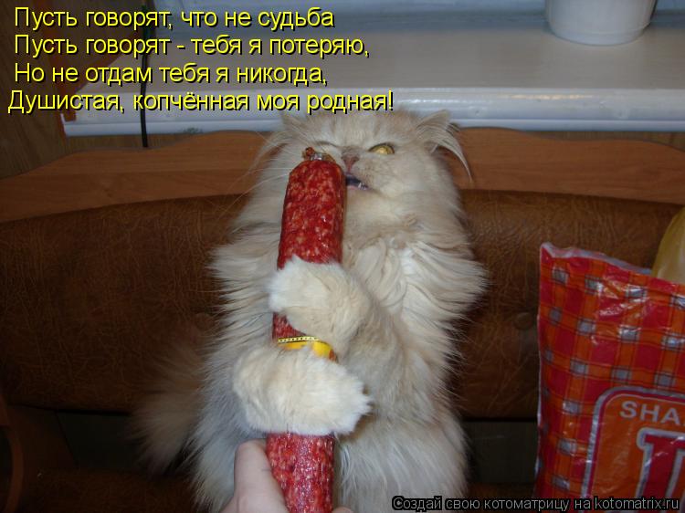 Пусть говорят, что не судьба Пусть говорят - тебя я потеряю, Но не отдам тебя я никогда, Душистая, ко... Котоматрица: Пусть говорят, что не судьба Пусть говорят - тебя я потеряю, Но не отдам тебя я никогда, Душистая, копчённая моя родная!