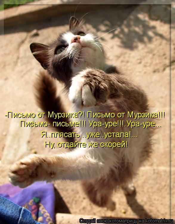 Я..плясать ..уже..устала!... -Письмо от Мурзика?! Письмо от Мурзика!!! Письмо- письме!!! Ура-уре!!!.У... Котоматрица: Я..плясать ..уже..устала!... -Письмо от Мурзика?! Письмо от Мурзика!!! Письмо- письме!!! Ура-уре!!!.Ура-уре... Ну, отдайте же скорей!
