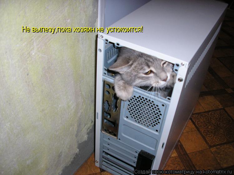 Котоматрица: Не вылезу,пока хозяин не успокоится!