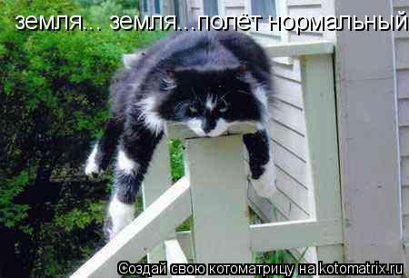 земля... земля...полёт нормальный... невесомость не напрягает...... Котоматрица: земля... земля...полёт нормальный... невесомость не напрягает...