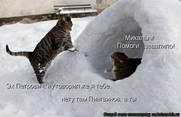 Михалыч! Помоги , завалило! Эх Петрович, ну говорил же я тебе, нету там Пингвинов, а ты..... Котоматрица: Михалыч! Помоги , завалило! Эх Петрович, ну говорил же я тебе, нету там Пингвинов, а ты..