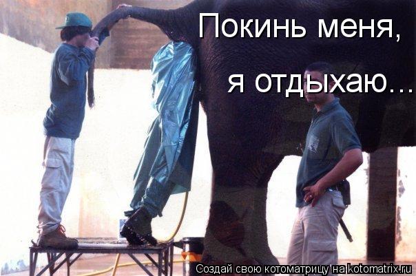 Покинь меня, я отдыхаю...... Котоматрица: Покинь меня, я отдыхаю...
