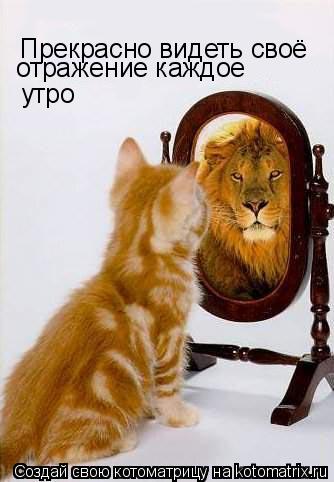 Прекрасно видеть своё отражение каждое утро... Котоматрица: Прекрасно видеть своё отражение каждое утро