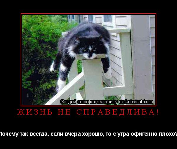 Жизнь не справедлива! Почему так всегда, если вчера хорошо, то с утра офигенно плохо?... Котоматрица: Жизнь не справедлива! Почему так всегда, если вчера хорошо, то с утра офигенно плохо?