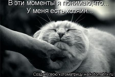 Котоматрица: В эти моменты я понимаю,что... У меня есть хозяин...
