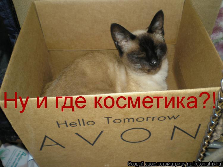 Котоматрица: Ну и где косметика?!