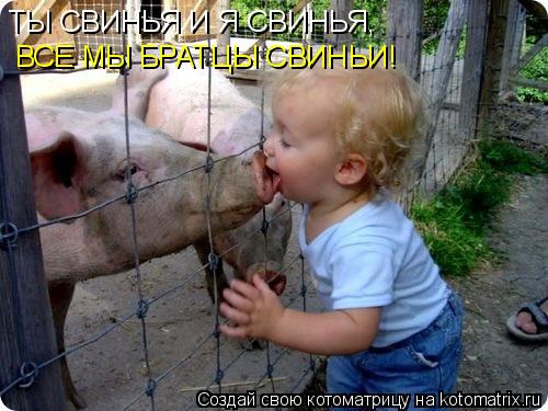 ТЫ СВИНЬЯ И Я СВИНЬЯ, ВСЕ МЫ БРАТЦЫ СВИНЬИ!... Котоматрица: ТЫ СВИНЬЯ И Я СВИНЬЯ, ВСЕ МЫ БРАТЦЫ СВИНЬИ!