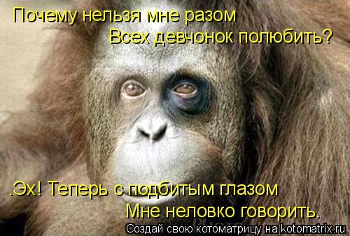 Почему нельзя мне разом Всех девчонок полюбить? …Эх! Теперь с подбитым глазом Мне неловко говорить…... Котоматрица: Почему нельзя мне разом Всех девчонок полюбить? …Эх! Теперь с подбитым глазом Мне неловко говорить…