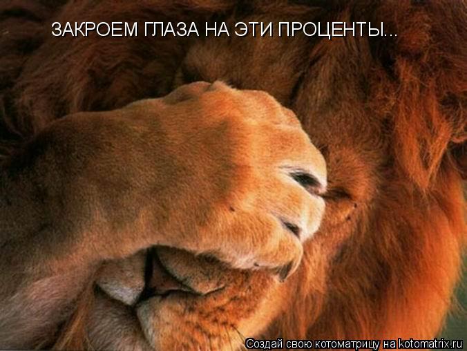 ЗАКРОЕМ ГЛАЗА НА ЭТИ ПРОЦЕНТЫ...... Котоматрица: ЗАКРОЕМ ГЛАЗА НА ЭТИ ПРОЦЕНТЫ...