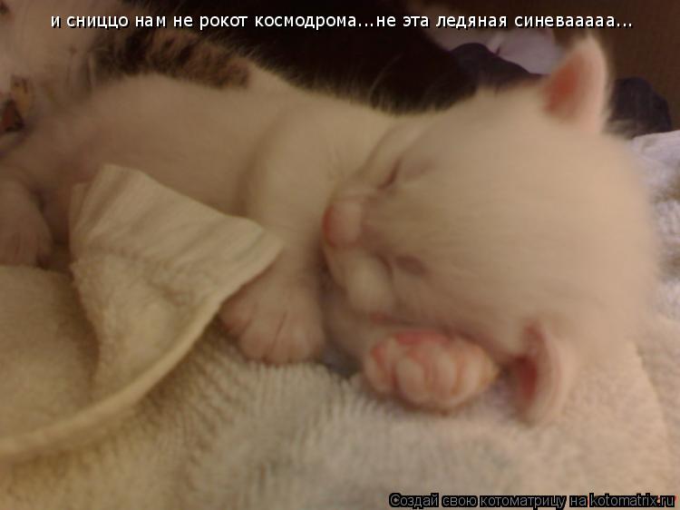 и сниццо нам не рокот космодрома...не эта ледяная синевааааа...... Котоматрица: и сниццо нам не рокот космодрома...не эта ледяная синевааааа...