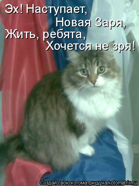 Котоматрица: Эх! Наступает, Новая Заря, Жить, ребята,  Хочется не зря!