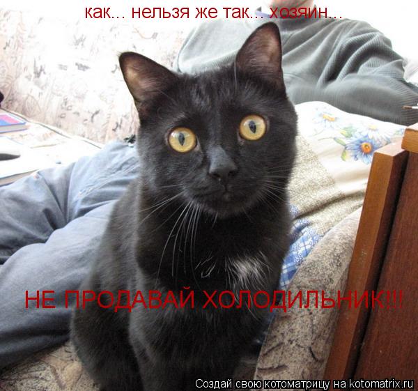 как... нельзя же так... хозяин... НЕ ПРОДАВАЙ ХОЛОДИЛЬНИК!!!... Котоматрица: как... нельзя же так... хозяин... НЕ ПРОДАВАЙ ХОЛОДИЛЬНИК!!!
