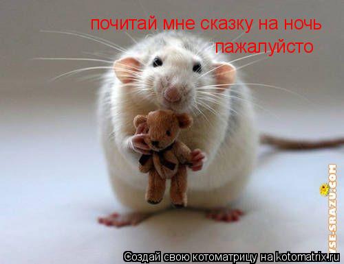 почитай мне сказку на ночь пажалуйсто... Котоматрица: почитай мне сказку на ночь пажалуйсто