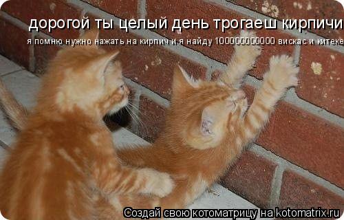 дорогой ты целый день трогаеш кирпичи я помню нужно нажать на кирпич и я найду 100000000000 вискас и ... Котоматрица: дорогой ты целый день трогаеш кирпичи я помню нужно нажать на кирпич и я найду 100000000000 вискас и китекет