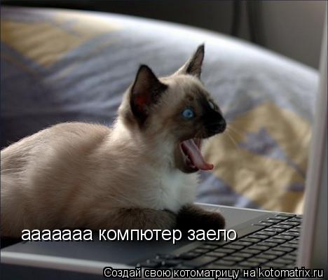 ааааааа компютер заело... Котоматрица: ааааааа компютер заело
