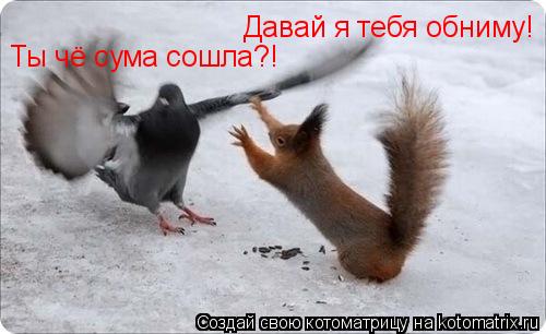 Давай я тебя обниму! Ты чё сума сошла?!... Котоматрица: Давай я тебя обниму! Ты чё сума сошла?!
