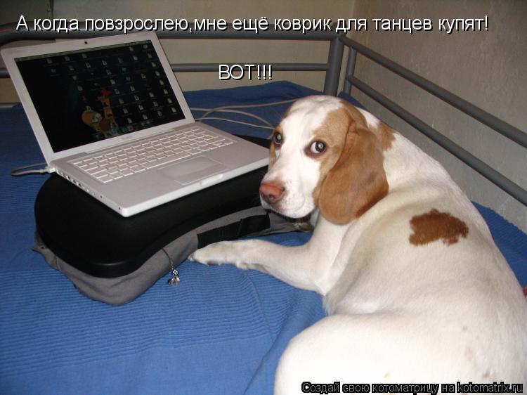 А когда повзрослею,мне ещё коврик для танцев купят! ВОТ!!!... Котоматрица: А когда повзрослею,мне ещё коврик для танцев купят! ВОТ!!!