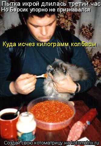 Пытка икрой длилась третий час, Но Барсик упорно не признавался Куда исчез килограмм колбасы... Котоматрица: Пытка икрой длилась третий час, Но Барсик упорно не признавался Куда исчез килограмм колбасы