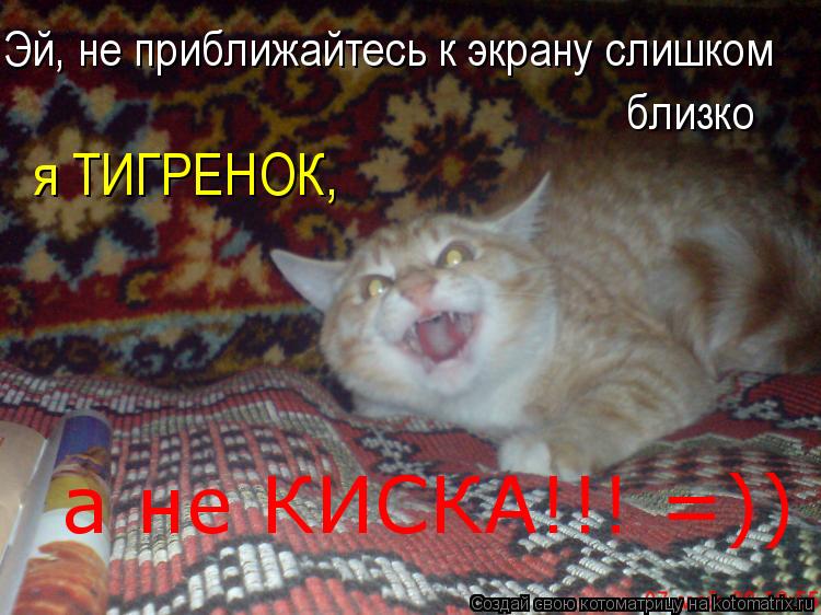 Эй, не приближайтесь к экрану слишком близко я ТИГРЕНОК, а не КИСКА!!! =))... Котоматрица: Эй, не приближайтесь к экрану слишком близко я ТИГРЕНОК, а не КИСКА!!! =))