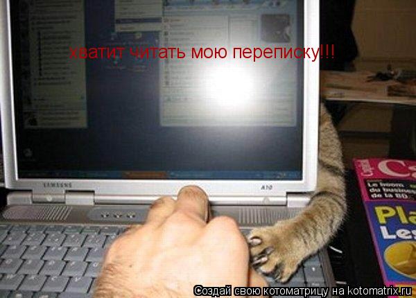 хватит читать мою переписку!!!... Котоматрица: хватит читать мою переписку!!!