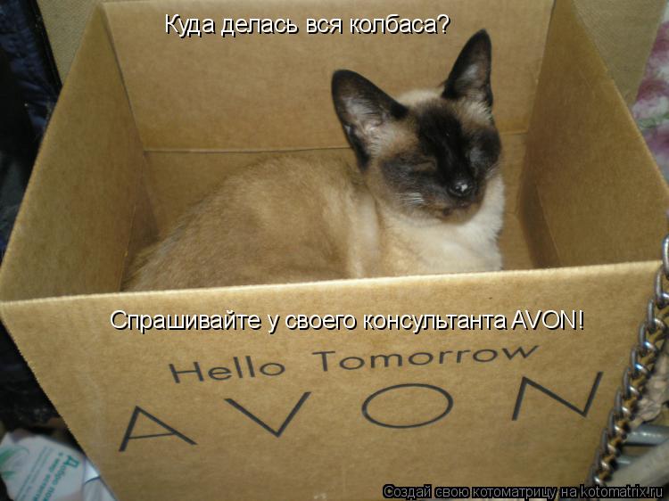 Спрашивайте у своего консультанта AVON! Куда делась вся колбаса?... Котоматрица: Спрашивайте у своего консультанта AVON! Куда делась вся колбаса?