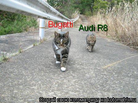 Bugatti Audi R8... Котоматрица: Bugatti Audi R8