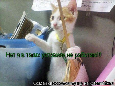 Нет я в таких условиях не работаю!!!... Котоматрица: Нет я в таких условиях не работаю!!!