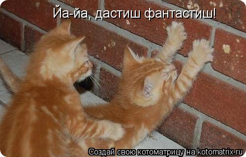 Йа-йа, дастиш фантастиш!... Котоматрица: Йа-йа, дастиш фантастиш!