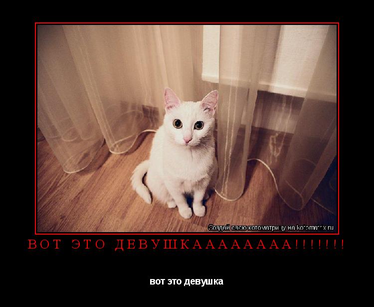 вот это девушкаааааааа!!!!!!! вот это девушка... Котоматрица: вот это девушкаааааааа!!!!!!! вот это девушка