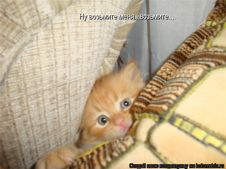 Котоматрица: Ну возьмите меня...возьмите....