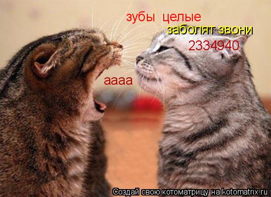 зубы целые заболят звони 2334940 аааа... Котоматрица: зубы целые заболят звони 2334940 аааа