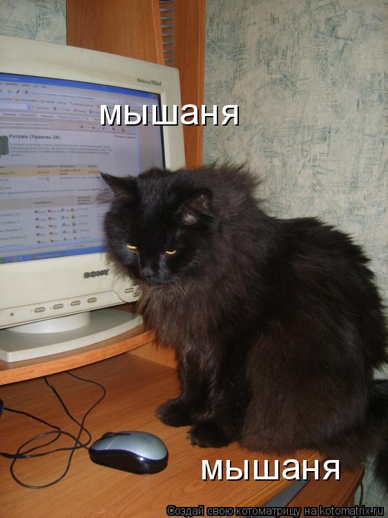 мышаня мышаня... Котоматрица: мышаня мышаня