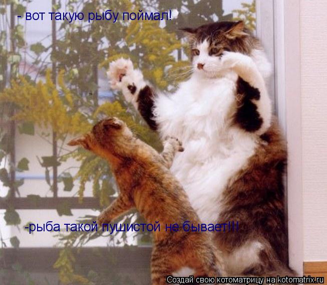 Котоматрица: - вот такую рыбу поймал! -рыба такой пушистой не бывает!!!