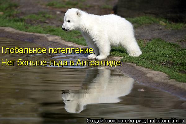 Глобальное потепление. Нет больше льда в Антрактиде.... Котоматрица: Глобальное потепление. Нет больше льда в Антрактиде.