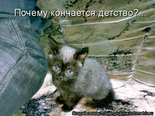 Почему кончается детство?...... Котоматрица: Почему кончается детство?...
