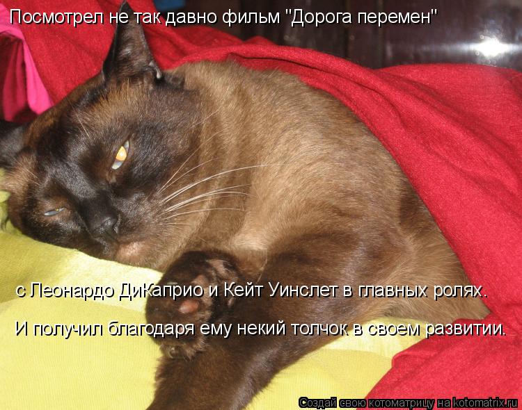 Посмотрел не так давно фильм "Дорога перемен" с Леонардо ДиКаприо и Кейт Уинслет в главных ролях. И ... Котоматрица: Посмотрел не так давно фильм "Дорога перемен" с Леонардо ДиКаприо и Кейт Уинслет в главных ролях. И получил благодаря ему некий толчок в сво
