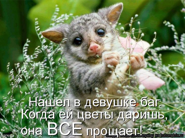 Котоматрица: Нашел в девушке баг. Когда ей цветы даришь,  она  BCE прощает!