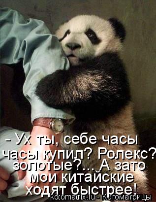 - Ух ты, себе часы ходят быстрее! часы купил? Ролекс? золотые?... А зато мои китайские золотые?... ... Котоматрица: - Ух ты, себе часы ходят быстрее! часы купил? Ролекс? золотые?... А зато мои китайские золотые?... А зато мои китайские