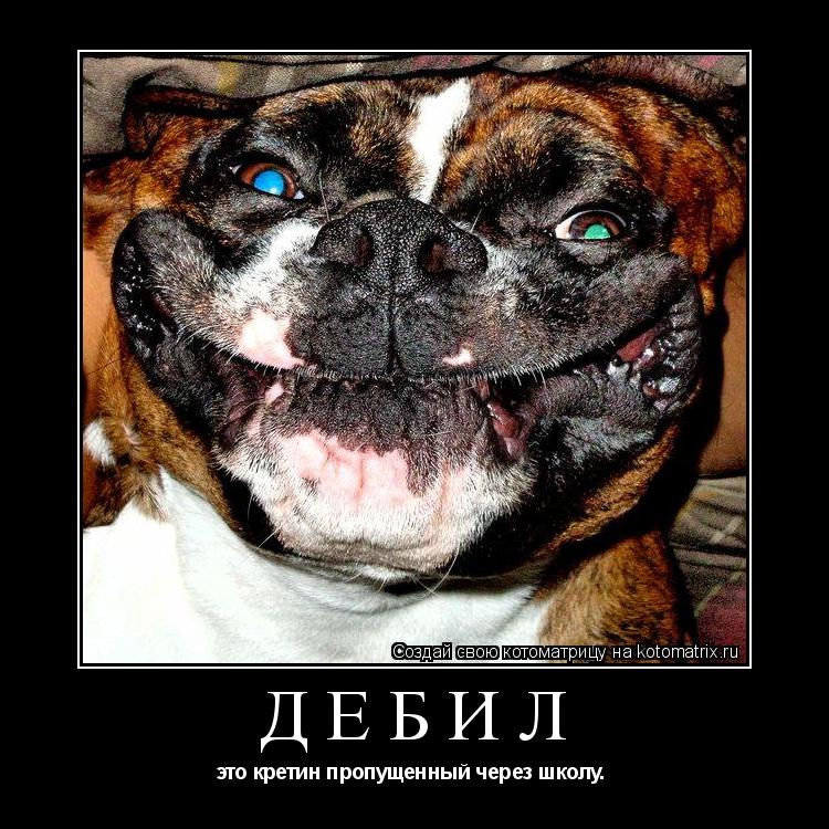 ДЕБИЛ это кретин пропущенный через школу. ... Котоматрица: ДЕБИЛ это кретин пропущенный через школу.