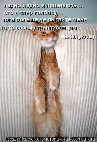 ладно ладно я признаюсь.... это я спёр калбасу.... тока больше не пытайте меня (а то вазьму гринписов... Котоматрица: ладно ладно я признаюсь.... это я спёр калбасу.... тока больше не пытайте меня (а то вазьму гринписовцам нажалуюсь)
