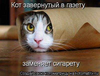 Котоматрица: Кот завернутый в газету заменяет сигарету