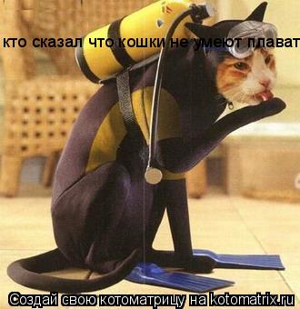 кто сказал что кошки не умеют плавать... Котоматрица: кто сказал что кошки не умеют плавать