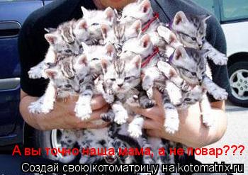 А вы точно наша мама, а не повар???... Котоматрица: А вы точно наша мама, а не повар???