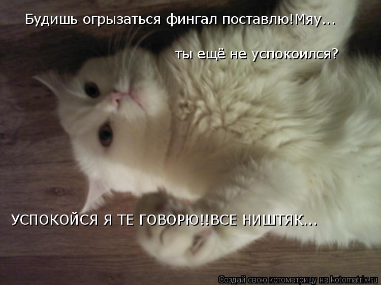Будишь огрызаться фингал поставлю!Мяу... ты ещё не успокоился? УСПОКОЙСЯ Я ТЕ ГОВОРЮ!!ВСЕ НИШТЯК...... Котоматрица: Будишь огрызаться фингал поставлю!Мяу... ты ещё не успокоился? УСПОКОЙСЯ Я ТЕ ГОВОРЮ!!ВСЕ НИШТЯК...